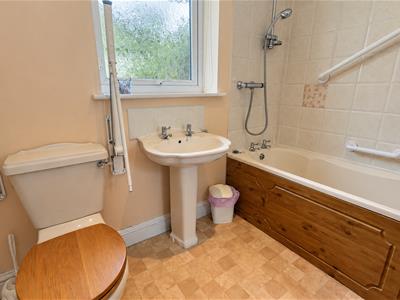 Picture 28